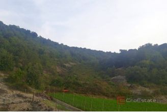 006 5237 30 island brac agricultural land for sale