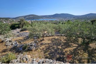 008 2057 18 Marina Agricultural land with a sea view for sale