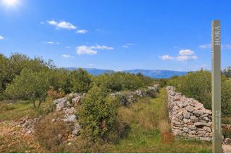 001 2051 58 Hvar agricultural land in a unesco zone for sale