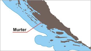 Murter